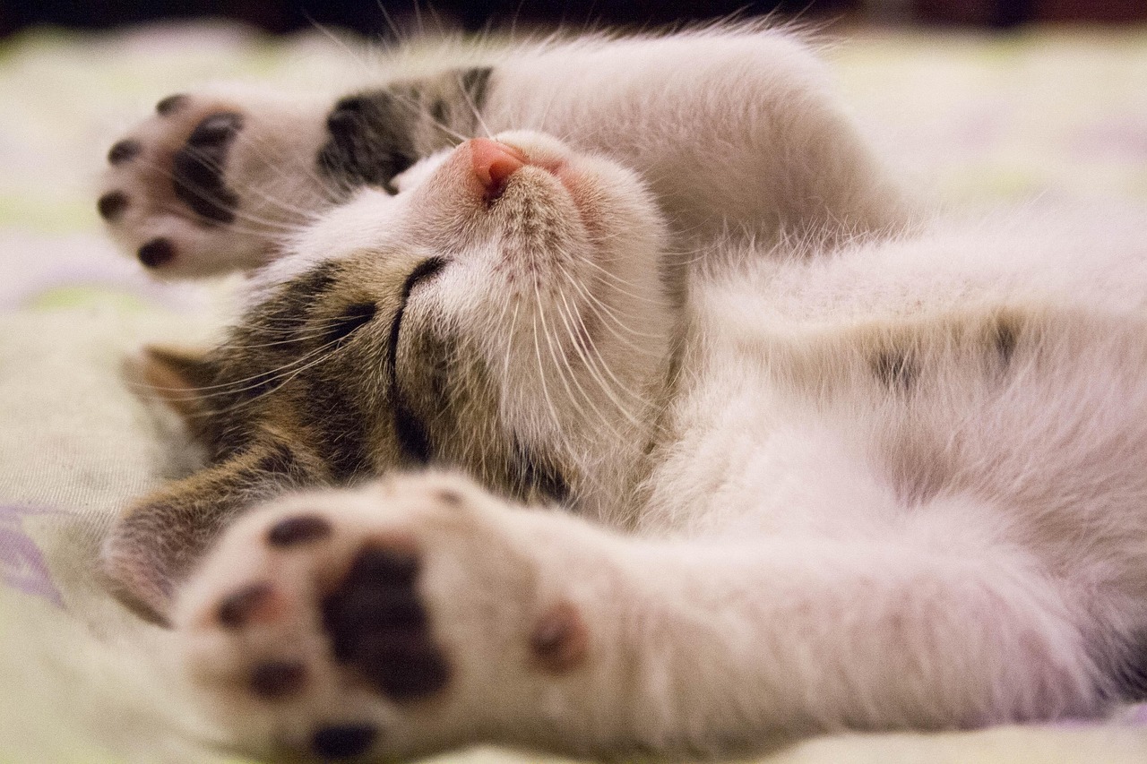 睡眠改善へのアプローチ